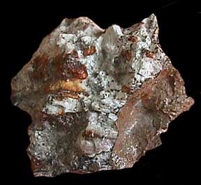 Norton County Meteorite For Sale